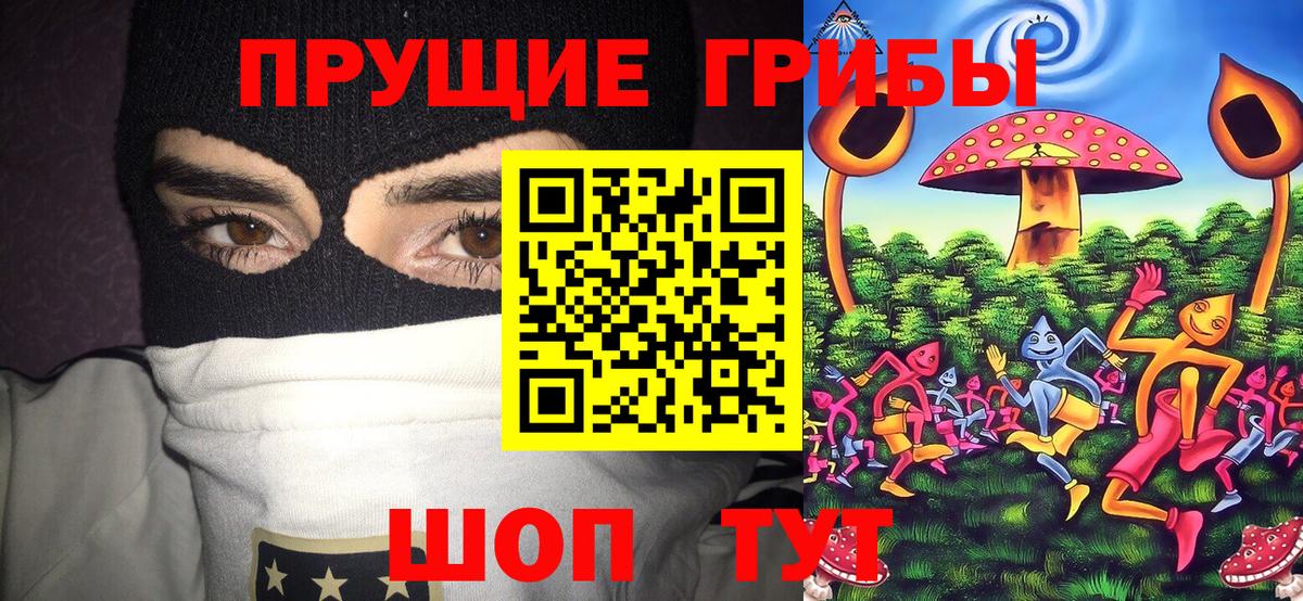 Псилоцибиновые грибы Magic Shrooms Ковров