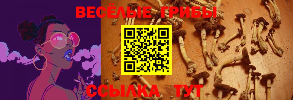 Галлюциногенные грибы мицелий  Вход с VPN  Псилоцибиновые грибы GOLDEN TEACHER  Ковров 